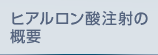 ヒアルロン酸注射の概要