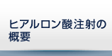 ヒアルロン酸注射の概要