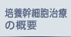 培養幹細胞治療の概要