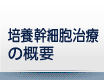 セルソース培養幹細胞治療の概要