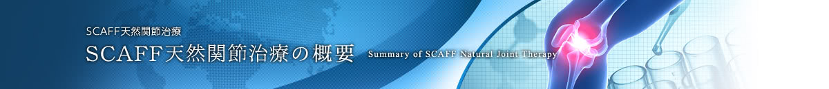 SCAFF天然関節治療の概要