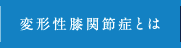 変形性ひざ関節症とは