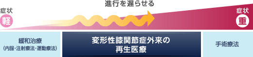 症状が軽い間は緩和治療（内服・注射療法・運動療法）を行うが、症状が重くなり手術療法を行わざるを得なくなる前に変形性ひざ関節症外来の再生医療という新しい選択肢が加わることで、変形性ひざ関節症の痛みの改善に加え、従来の処置よりも進行を遅らせるという効果をのぞむことはできます